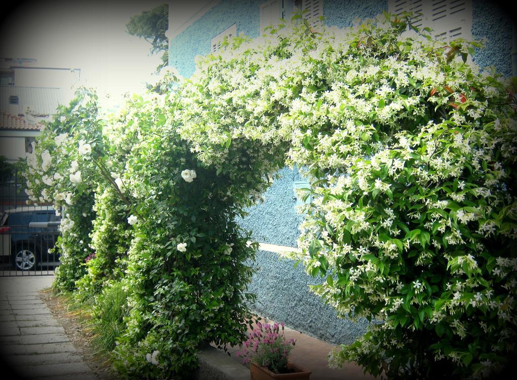 B&B Elisir Albenga Exteriér fotografie